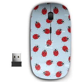 KAWAMOUSE 2.4G Ergonomic Portable USB Wireless Mouse for PC, Laptop, Computer, Notebook with Nano Receiver (Ladybug)