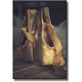 Ballet Shoes Picture on Stretched Canvas, Wall Art DÃ©cor, Ready to Hang