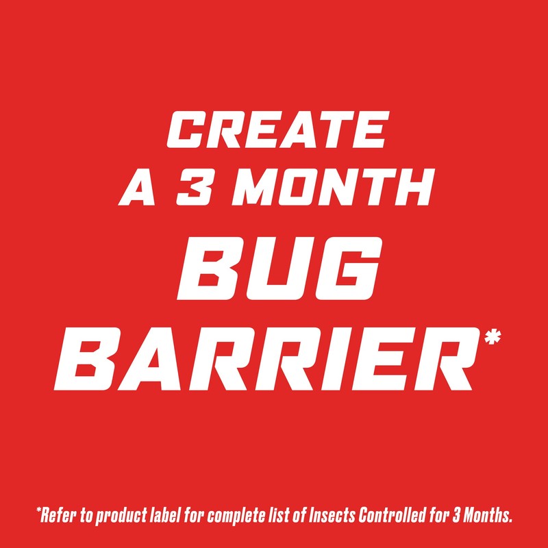 Ortho Outdoor Insect Killer Concentrate Kills Listed Ants, Spiders, Fleas