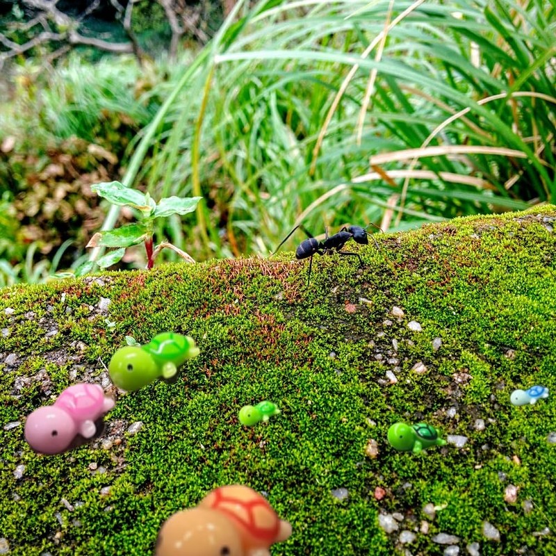 50 Pcs Mini Resin Animals Sea Turtle Figurines, Miniature Cute