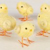 Factory Direct Craft Pack of 6 Baby Chicks for Easter