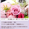 Hanayu Japanese Preserved Flower Flower Night Moon Pink - Thank