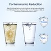 GLACIER FRESH Replacement Water Filter Cartridges, Compatible with Mavea Maxtra,