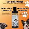 Shampoo BellaPet CocoArgan Acondicionador Para Mascota 500ml