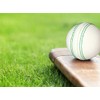 KSZ TRADERS 3 x Soft Rubber Cricket Balls - White