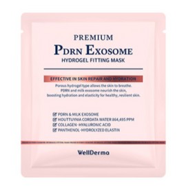 WellDerma Mask Pack PDRN Exosome Hydrogel Fitting 4 Sheets BNS / 웰더마 마스크팩 PDRN 엑소좀 하이드로겔 피팅 4매 BNS