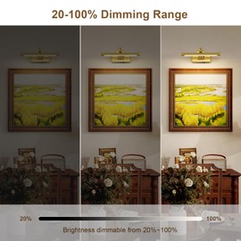 DESOOP Wireless Picture Lights for Wall Rechargeable Brass Gallery Lights Battery Operated Art Lamps with Remote and Timer Dimmable Painting Lights for Artwork Portrait Display 12 Inch 2W 2700K