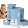 Gravity Cat Feeder and Water Dispenser with 304 Stainless Steel