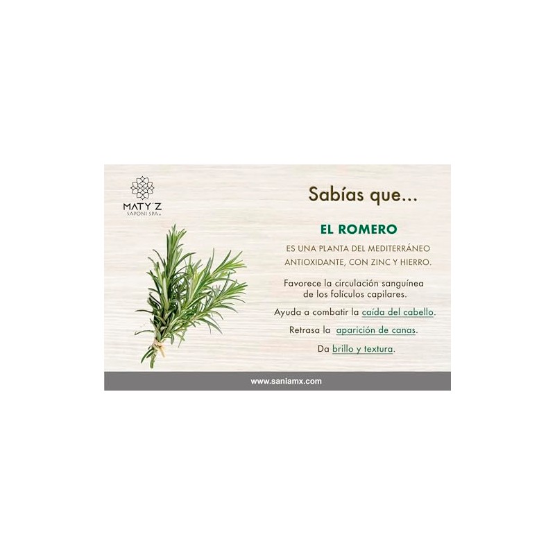 Shampoo Romero-Tomillo, excelente combinación para evitar la caída del cabello