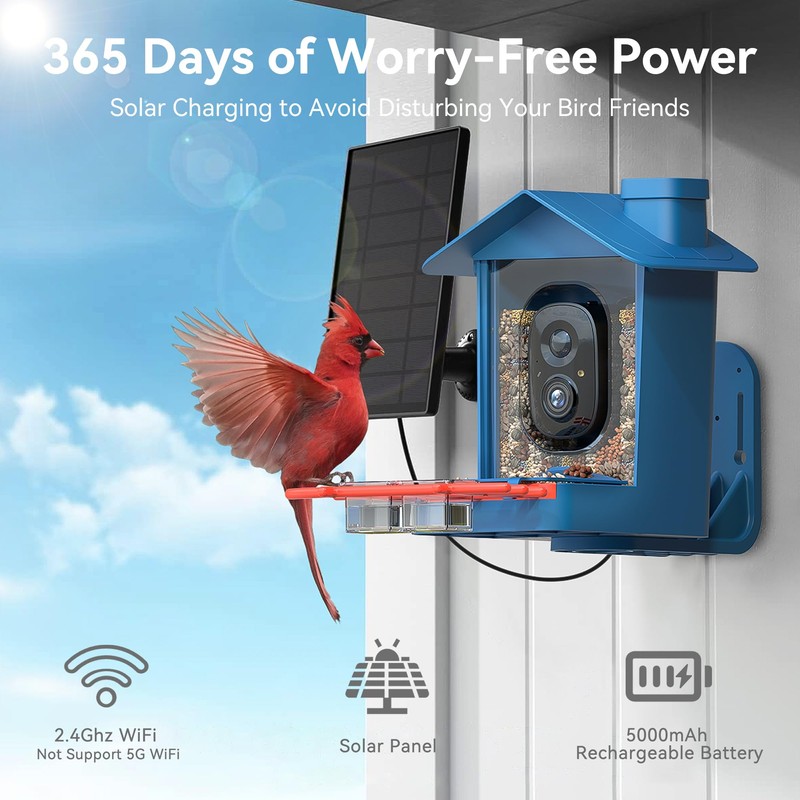 Rayki Solar Bird Feeder with Camera for Birdwatching, 2K HD