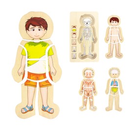 WOODENFUN Human Body Puzzles for Kids 3-5,Wooden Montessori Anatomy Play Set, Human Body Model Puzzle for Preschoolers and Kids Ages 3+ (Boys)