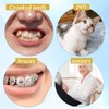 4 PCS Orthodontic Toothbrush, End Tuft Toothbrush Mini Compact Interspace