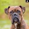 Paw Prints Range Boxers 2018 Square Wall Calendar