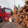 JAYGOVAN 28" 4 Claw Log Grapple Logging Log Lifting Tongs,
