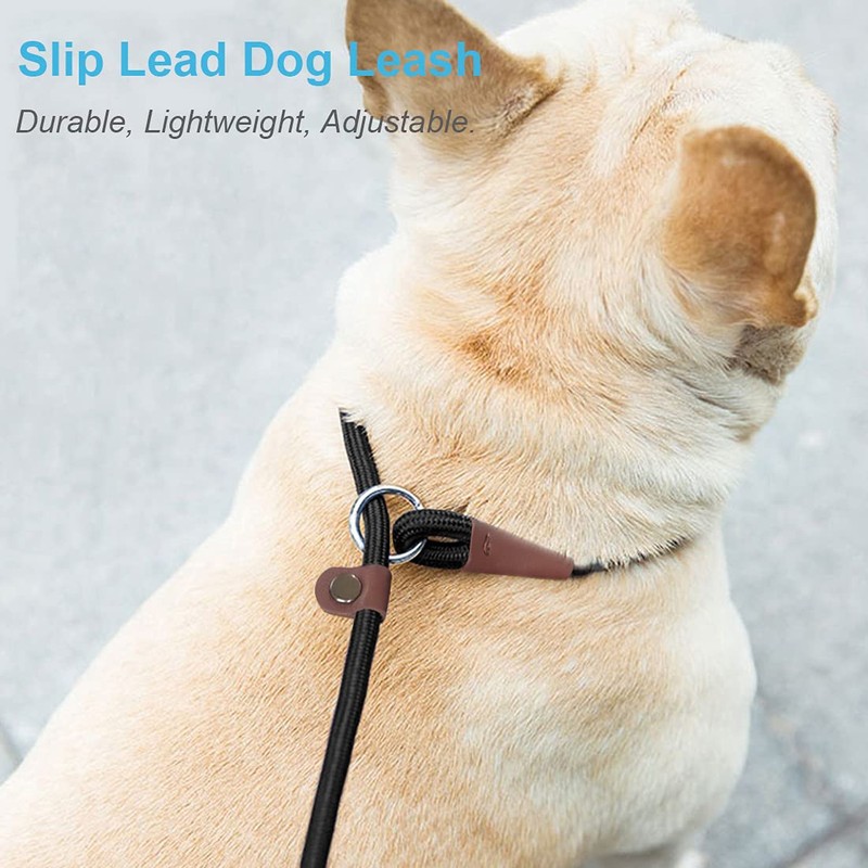 MayPaw Slip Lead Control Leash for Dogs No Pull, 13+