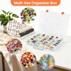 2 Pack Rock Collection Box, 48 Grids Rock Display Case