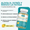 Gomitas Complejas de MagnesioGomitas Masticables Tranquilas para Niños y AdultosGlicinato