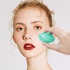 SonKu Sunscreen Applicator, Brush Set with Protective Caps, Sunscreen Applicator