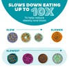 Outward Hound Medium Slow Feeder Bowl, Puzzle Maze for Fast