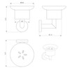 EcoSpa Rose Frosted Glass Soap Dish and Wall Mounted Holder