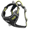 bluzelle Dog Harness for Small Dogs, Reflective Chest Harness with