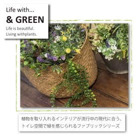 Paper Holder Cover & Green TOMATO