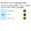 Rosemary Pine 30ml Aroma Blend Incent Essential Oil 30ml