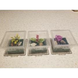 3 Mini enclosure for spider ,baby praying mantis or insect pet