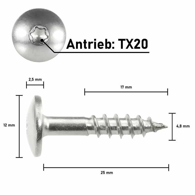 SCREW REBEL Trespo Facade Screws 4.8 x 25 TX20 Natural