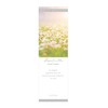 Palcolle Hand Cream White Blossom 1.8 oz (50 g)