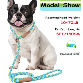 Slip Leads for Dogs 5 FT Slip Leash Strong Dog Training Leash Lightweight Dog Slip Lead Comfortable Slip Lead Dog Leash Braided Rope Dog Leash No Pull Dog Leash for Small Medium Dogs(Blue,3/8")