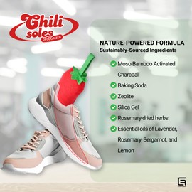 Chilisoles 2 Pack Shoe Deodorizer Odor Eliminator for Shoes, Cleats, Closets, Drawers, Gloves - Moisture Absorber, Air Freshener, Air Purifier Moso Bamboo Activated Charcoal Long- Lasting Reusable