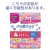 Natura Absorbent Panty Liner, 6.7 inches (17 cm), 0.2 fl