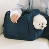 Fitpet DAN Hugback Cushion