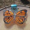 PANYIXUAN Bee Floating Island Bee Watering Station Honey Watering Station