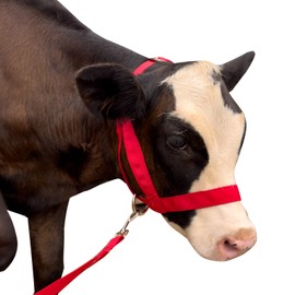 Cow Halter Cattle Halters Adjustable Calf Halter with Leading Rope for Horse Donkey Goat Nylon Cattle Training Supplies Red L