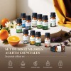 Kaisasa Kit De 12 Aceites Esenciales Aromaterapia Natural Estilo B