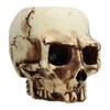 Skull Head Flower Pot Resin High Strength Clear Shape Skull