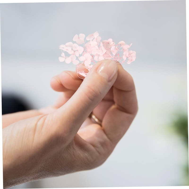 DECHOUS Hortensia Seca Flores Preservadas 20 g Perfectos para Arte