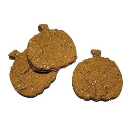 Handmade Gourmet Autumn Treat Biscuits for Pet Birds (Set of 3 Snacks) (Pumpkin)