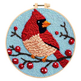 SmoothNovelty DIY Punch Needle Kits for Beginners with Hoop Embroidery Fabric Instructions Thread Punch Needle Craft Set Easy for Starter Adults and Children Gift Decoration, 20x20cm-4(Cardinal Bird)
