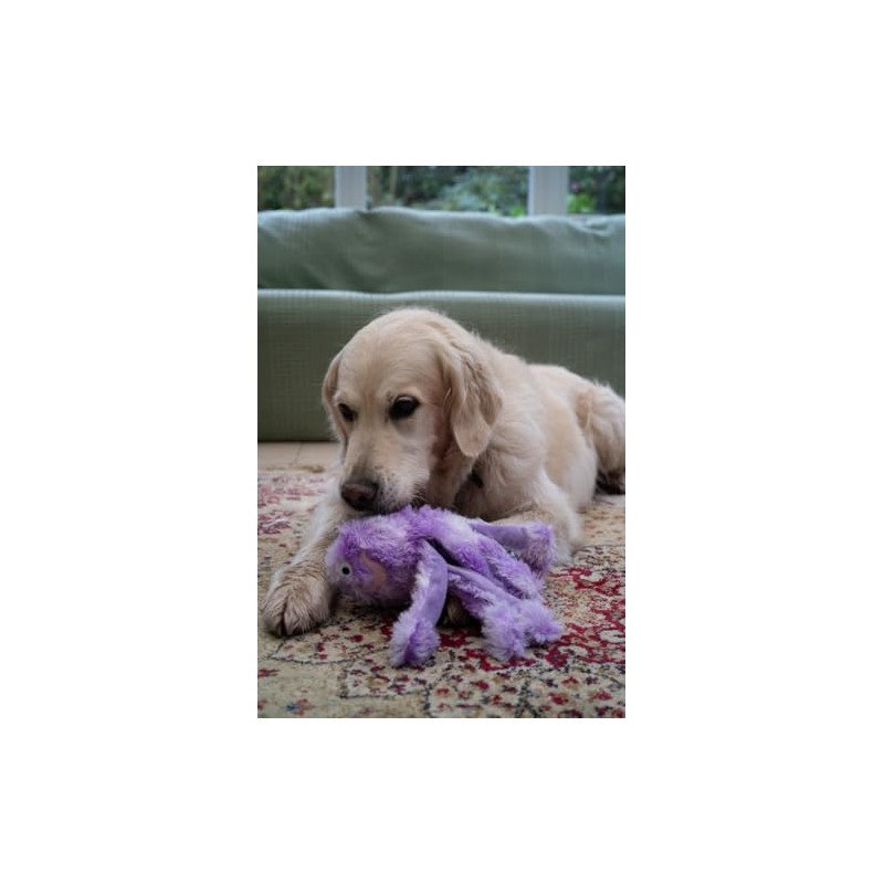 Petface Orla the Octopus Plush Dog Toy, Small