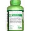 Ginkgo Biloba 120mg | Plus Bacopa | 200 Quick Release