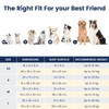 Miguel Washable Dog Bed with Removable Cushion for Medium Small
