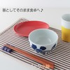 Hasamiyaki CtoC Japan Storage Pack, Small Pot, Flower Dairy, Diameter