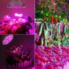 100W Led Grow Light Bulb Full Spectrum,Plant Light Bulb with