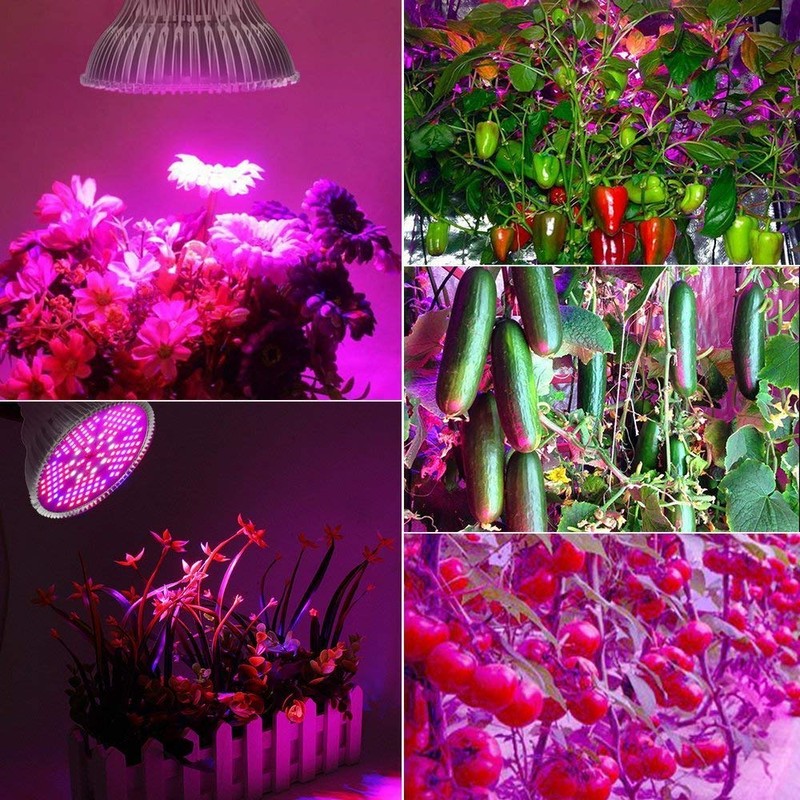 100W Led Grow Light Bulb Full Spectrum,Plant Light Bulb with