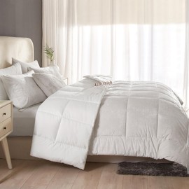 HYPREST Velvet Comforter Queen, Greek Velvet Luxury Queen Comforter Set, Ultra Soft Down Alternative Comforter Cozy Lightweight