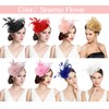 Z&X Sinamay Fascinator Pillbox Hats for Women Feather Flower Church