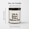 Sphynx Cat Scented Candle Gifts for Father's Day | Funny